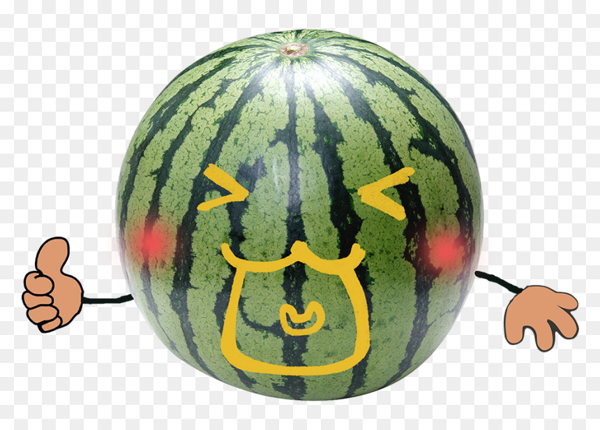 Скачать Картинку Арбуза, HD Png Download - watermelon vector png