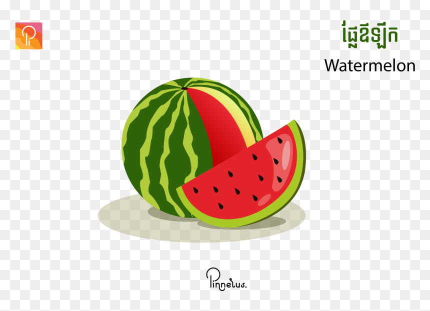 Watermelon, HD Png Download - watermelon vector png