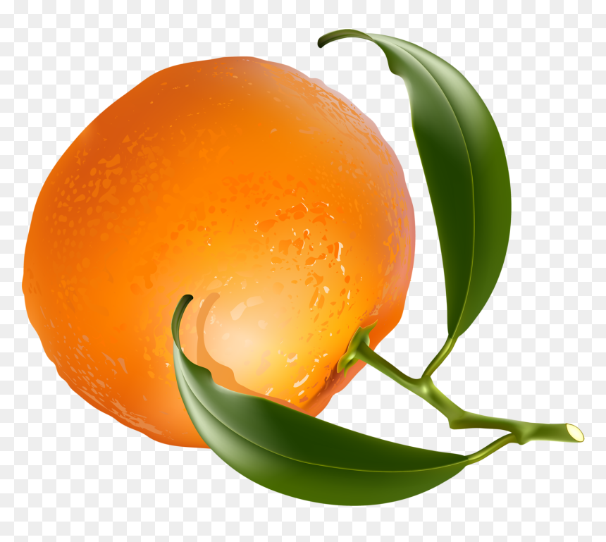 Watermelon Vector Png, Transparent Png - watermelon vector png