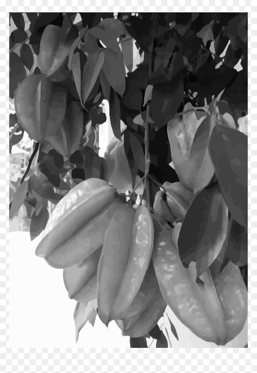 Tree, HD Png Download - star fruit png