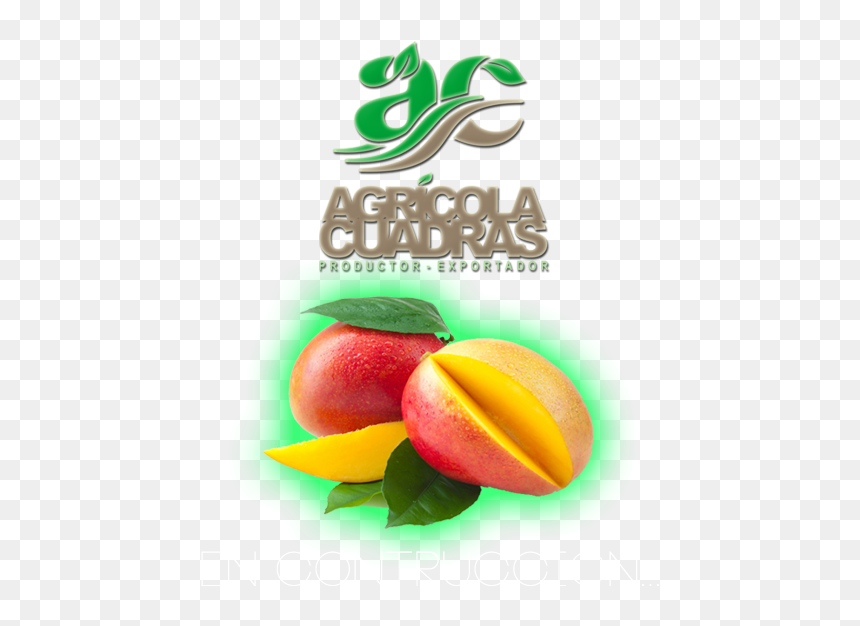 Nectarines, HD Png Download - star fruit png