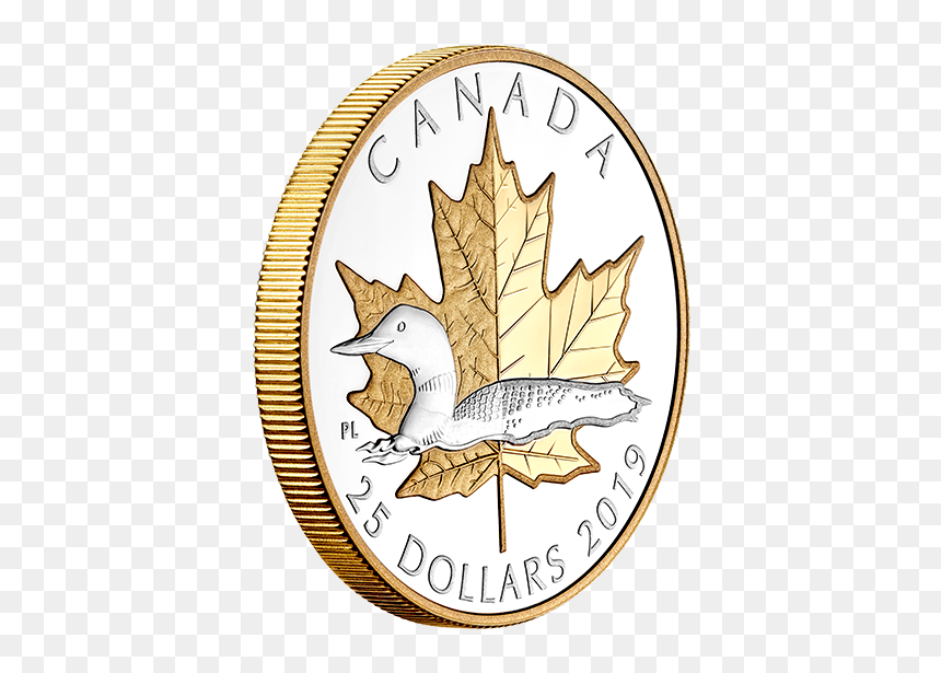 Circle, HD Png Download - gold coin icon png