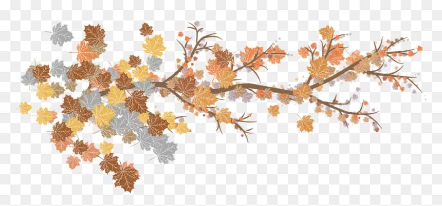 Poesias Infantiles De Federico Garcia Lorca, HD Png Download - leaf branch png
