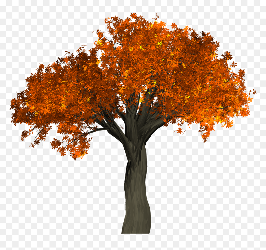 Png Photos Of Tree, Transparent Png - natural png