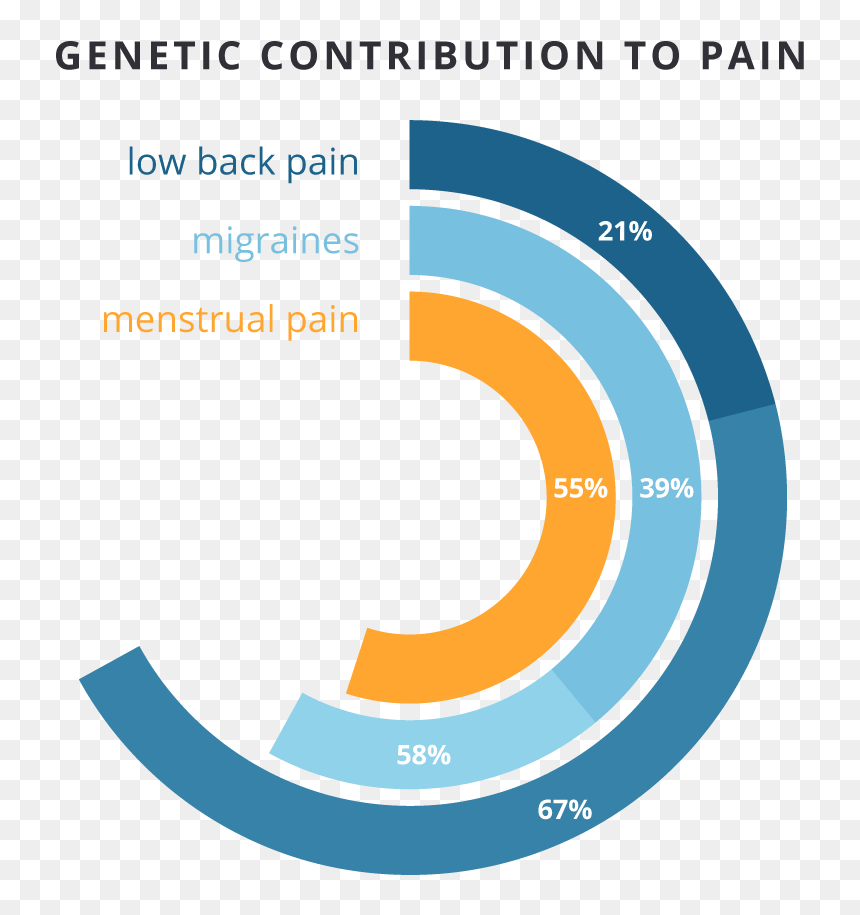 Graphic Design, HD Png Download - authors of pain png
