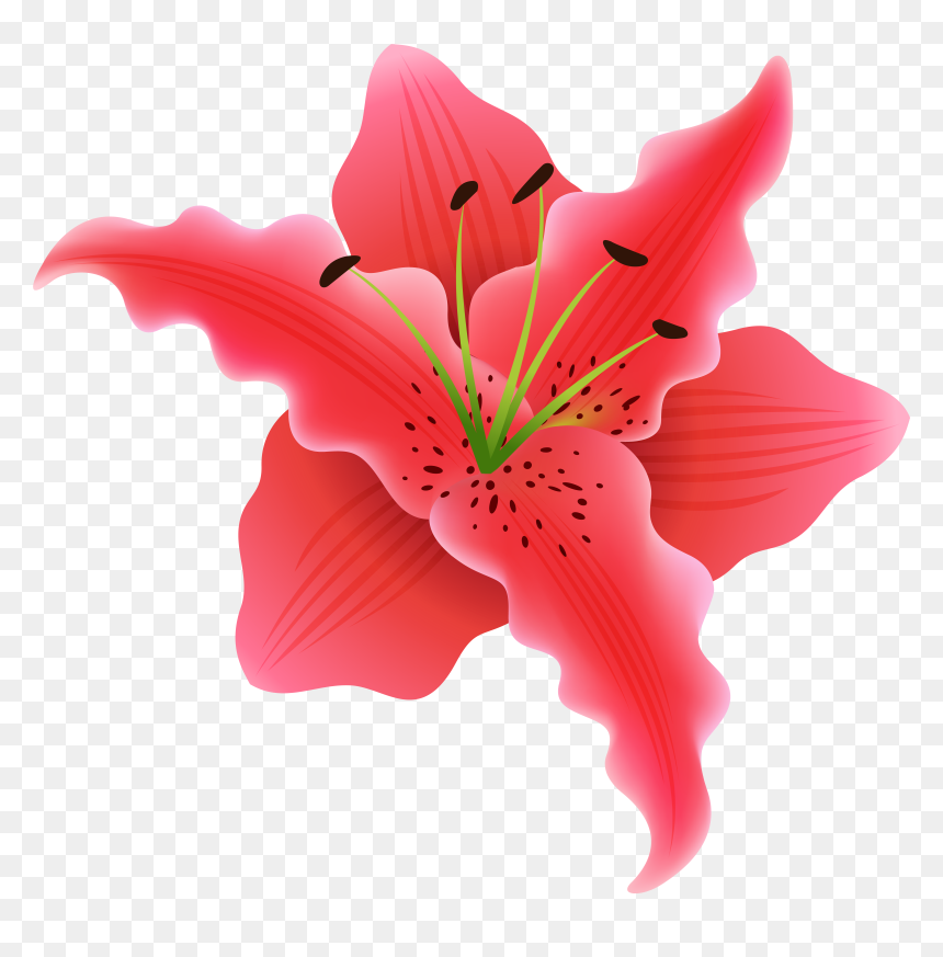 Clip Art, HD Png Download - flowers top view png