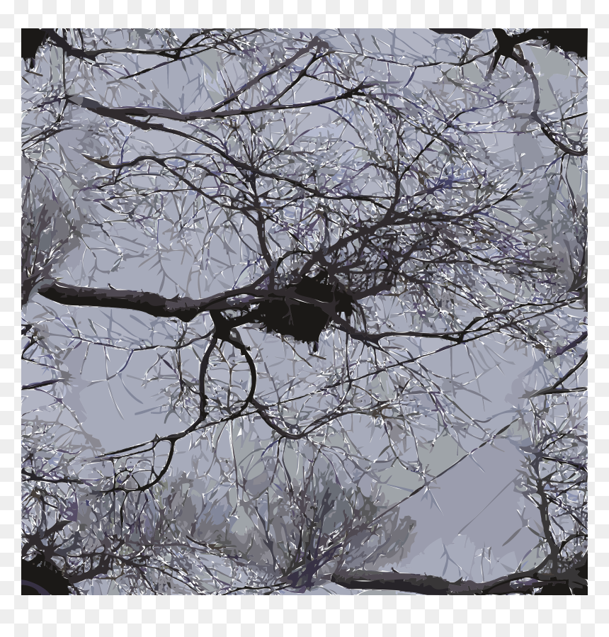 Snow, HD Png Download - birds nest png