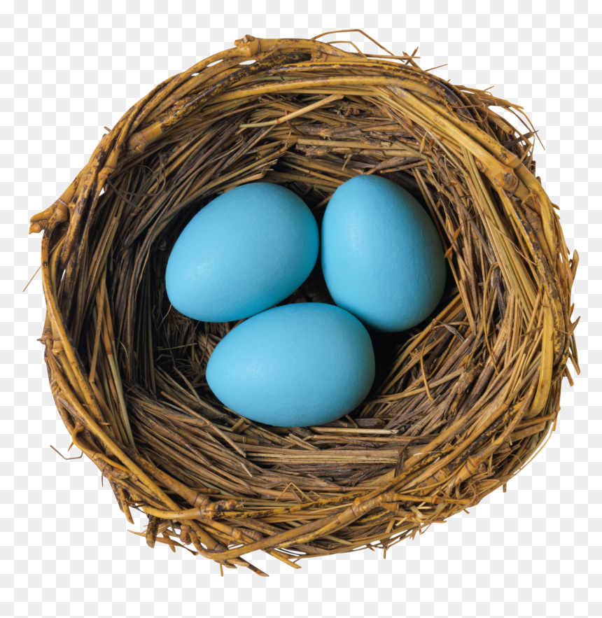 Nest Of Eggs Png, Transparent Png - birds nest png