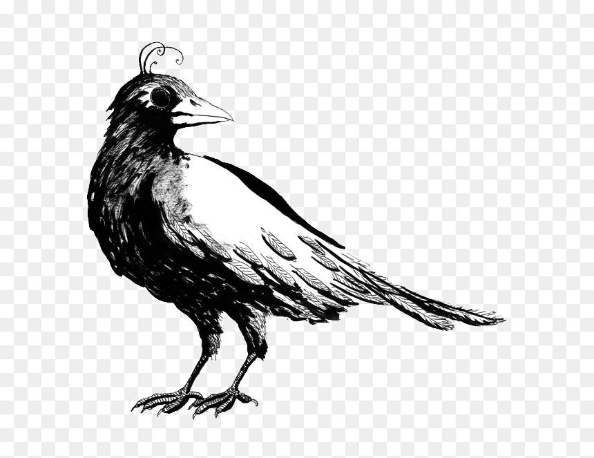 Raven, HD Png Download - birds nest png