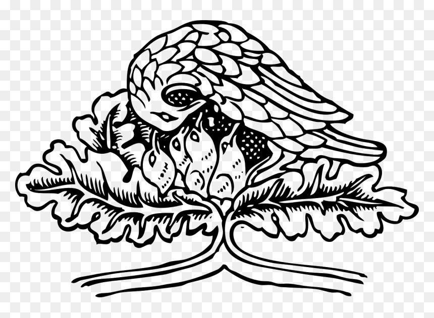 عصفور في العش للتلوين, HD Png Download - birds nest png
