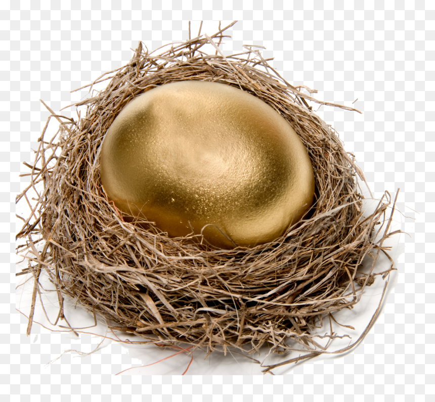 Golden Egg In Nest, HD Png Download - birds nest png