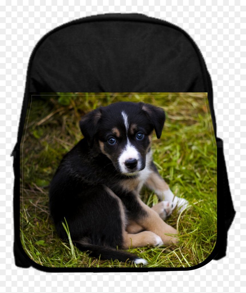 Puppy, HD Png Download - sad puppy png