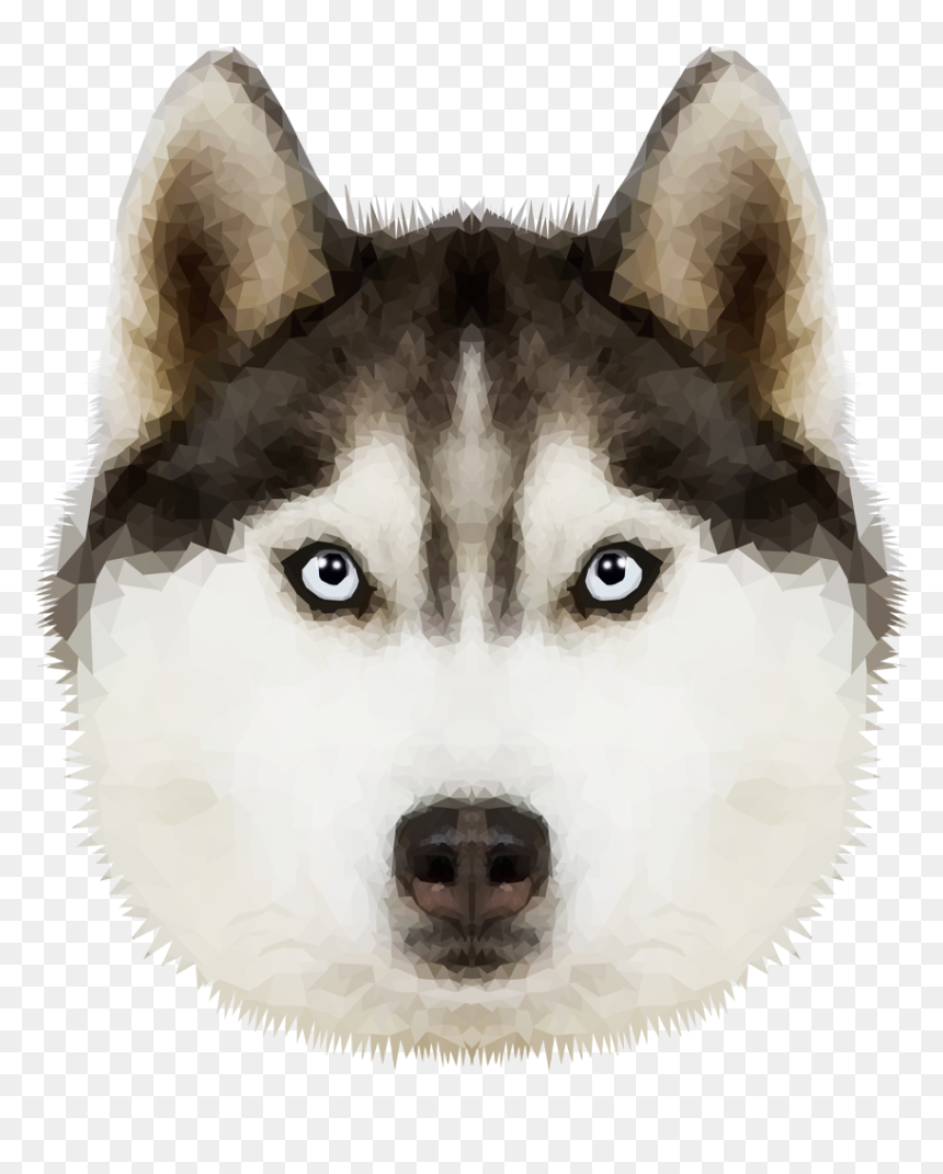 Siberian Transparent Background Husky Puppy Png, Png Download - sad puppy png
