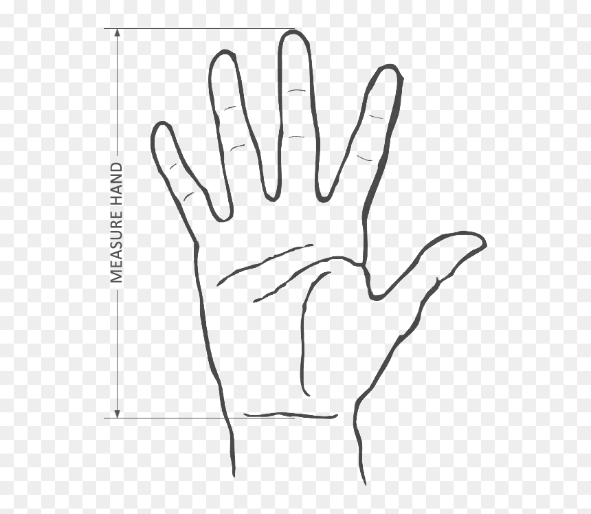 Creases And Arches Of The Hand, HD Png Download - mouse finger png