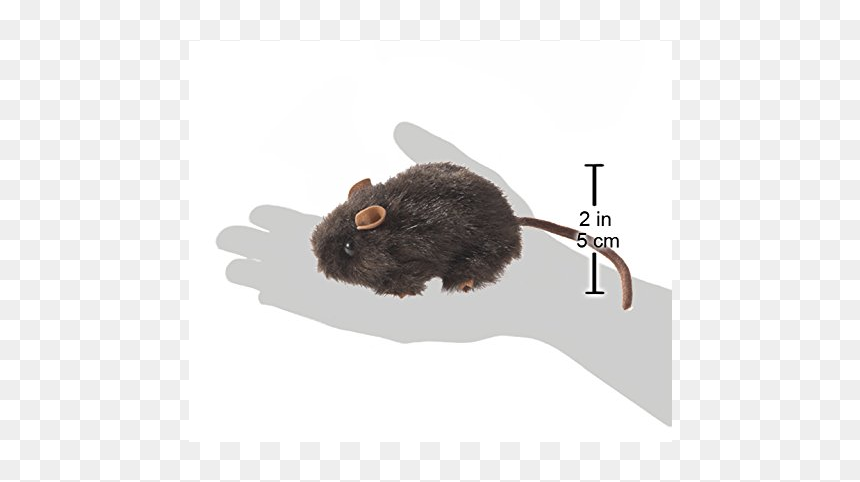 Rat, HD Png Download - mouse finger png