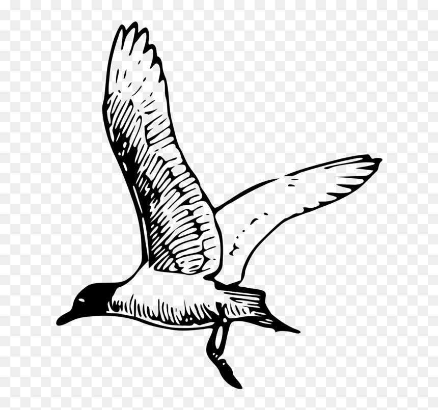 Clip Art, HD Png Download - american revolution png