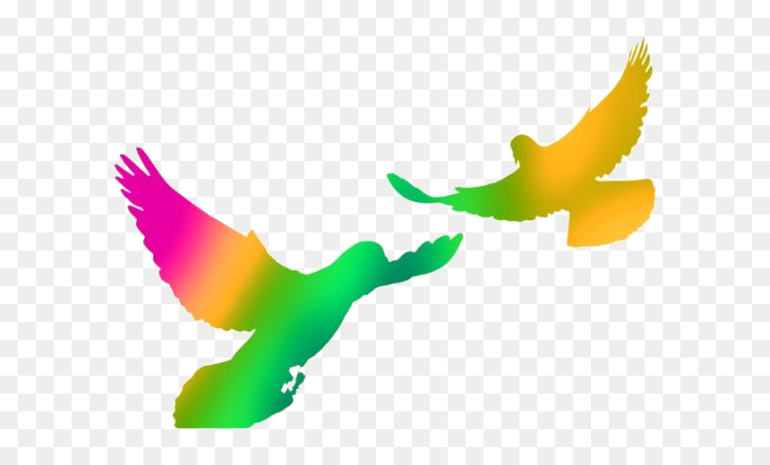 Parrot, HD Png Download - dove bird png