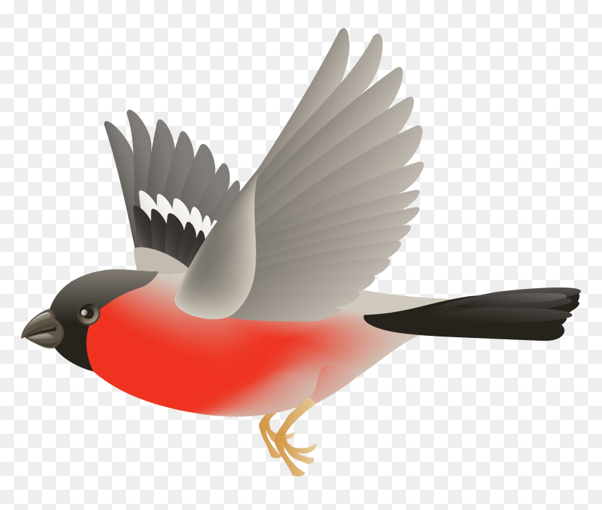 Dove Bird Png, Transparent Png - dove bird png