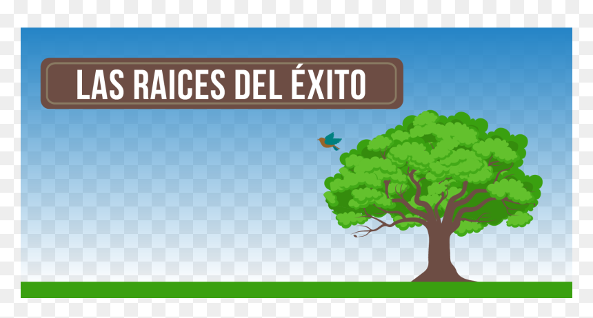 Tree, HD Png Download - exito png