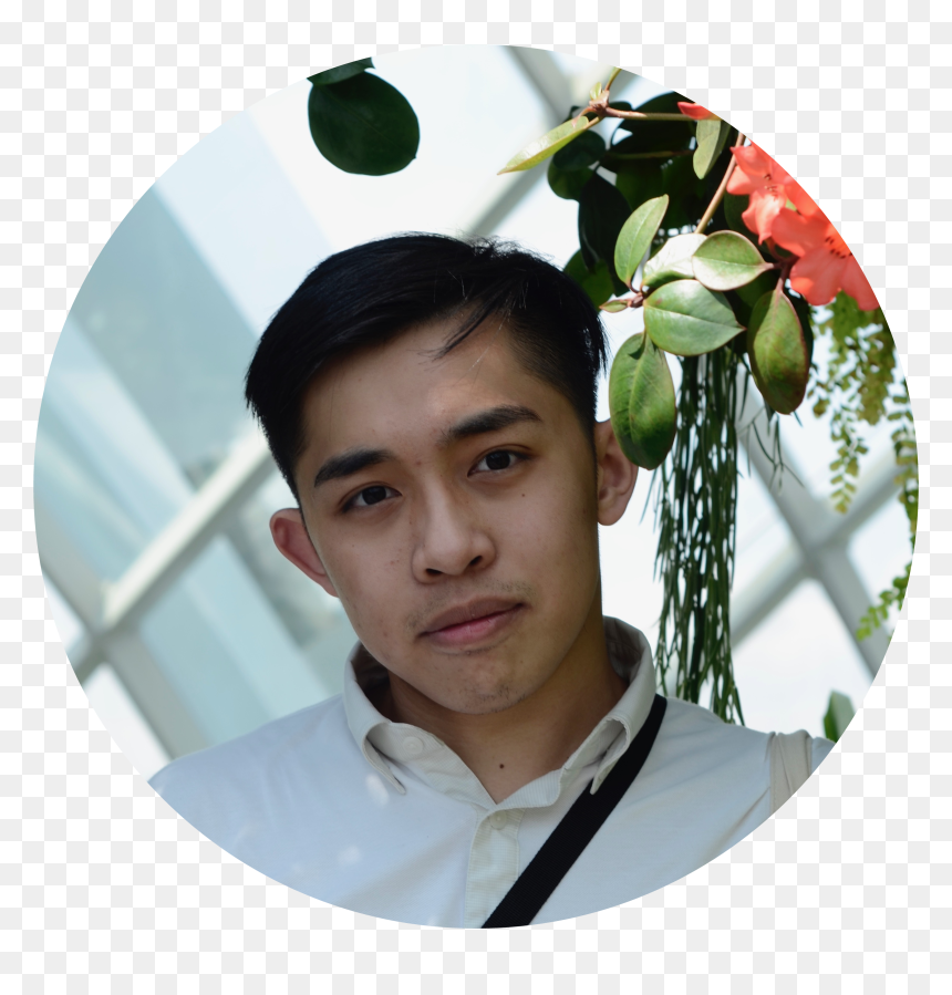Rose, HD Png Download - asian people png