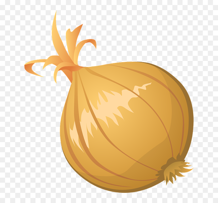 Onion Clipart Png, Transparent Png - vector png images