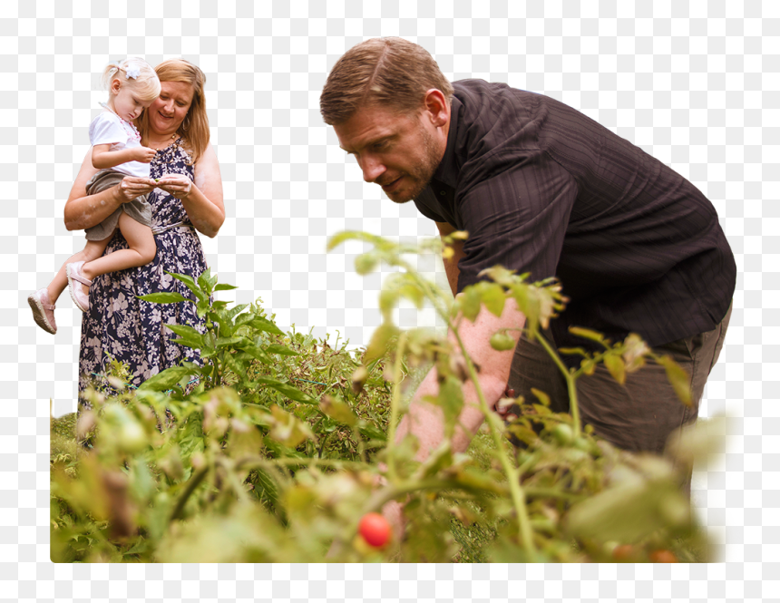 Farmworker, HD Png Download - frank west png