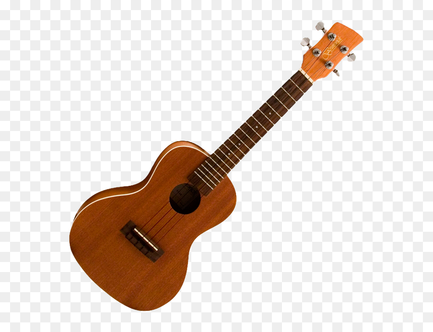 Fender Paramount All Mahogany, HD Png Download - primitive spongebob png
