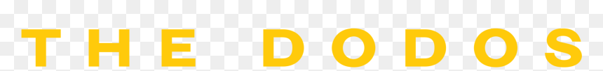 Graphic Design, HD Png Download - primitive spongebob png