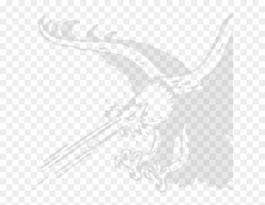 Illustration, HD Png Download - gnar png