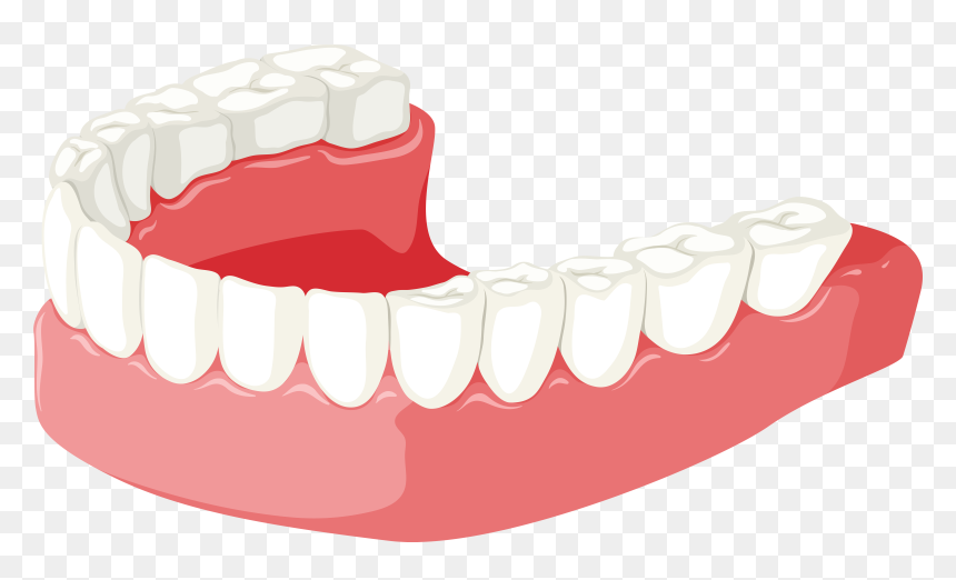 Jaw Clipart, HD Png Download - jaw png