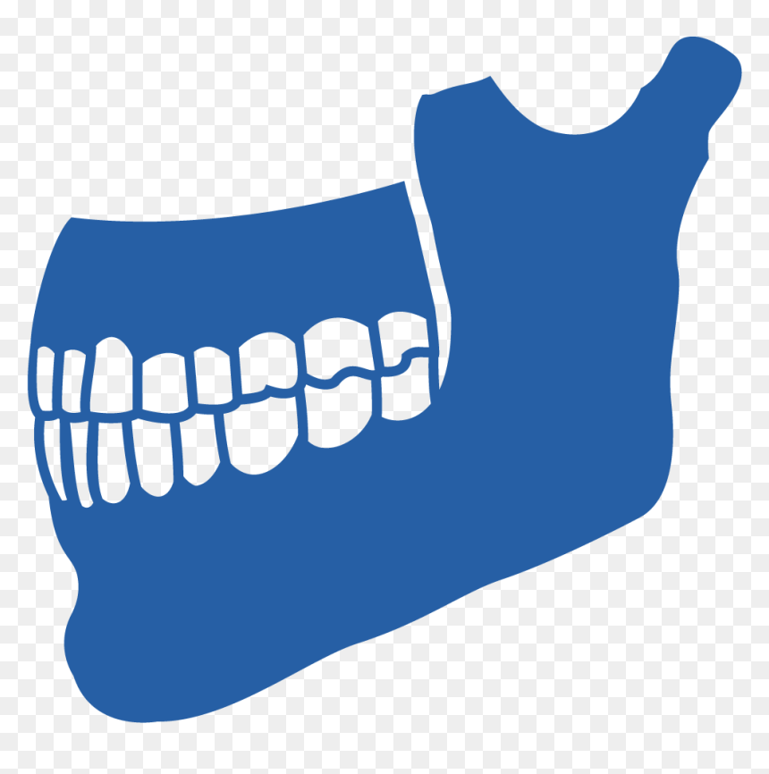 Clip Art, HD Png Download - jaw png