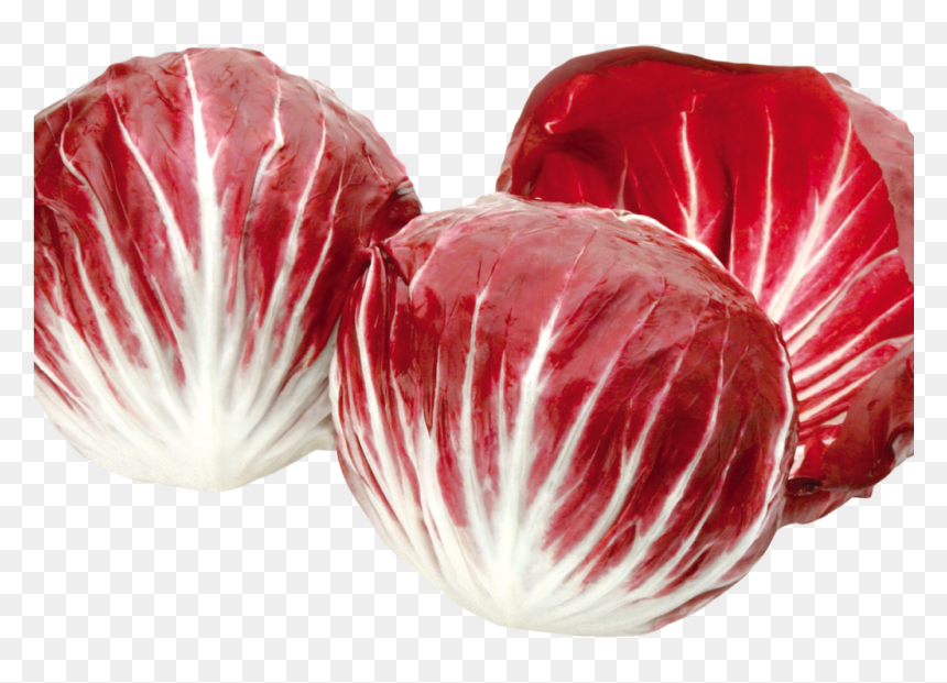 Chicory Salad Png, Transparent Png - salad.png