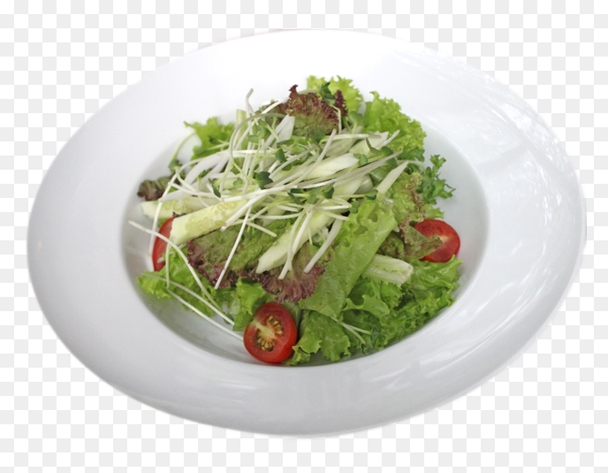 Salad.png, Transparent Png - salad.png