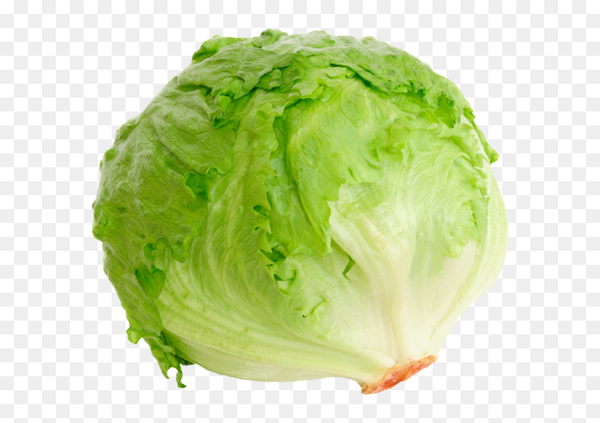 Head Of Lettuce, HD Png Download - salad.png