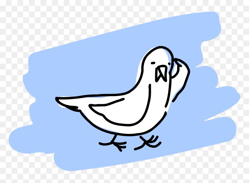 Clipart Seagull - Portable Network Graphics, HD Png Download - seagull clipart png