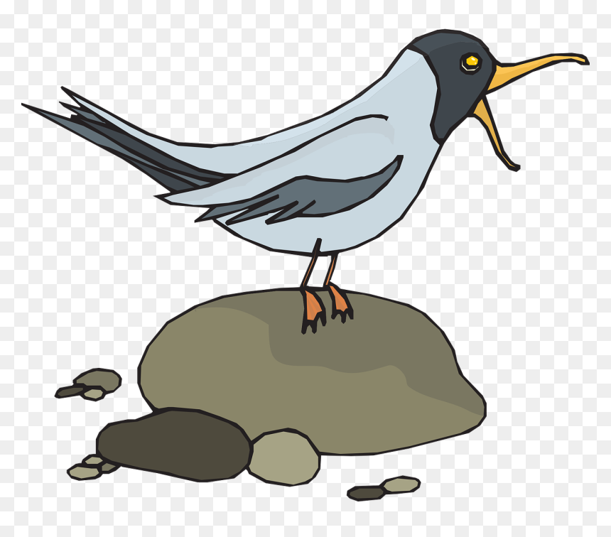 Gull Seagull Sea-gull Bird Png Image - รูป การ์ตูน นก นางนวล, Transparent Png - seagull clipart png