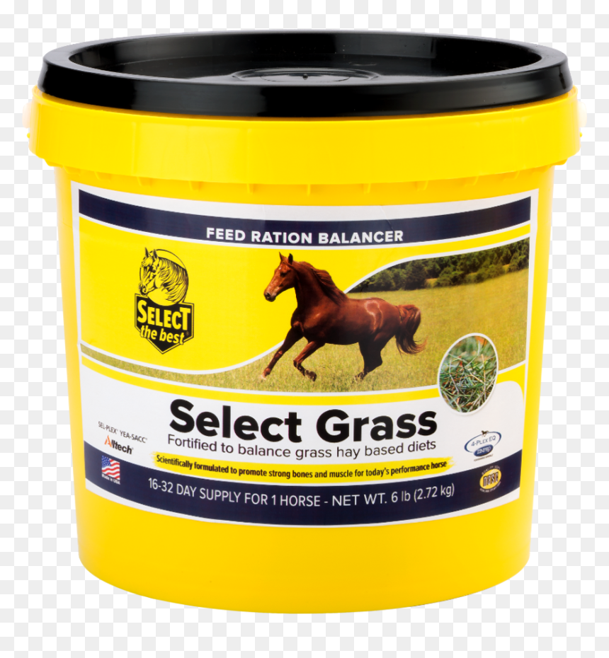 Horse, HD Png Download - yellow grass png