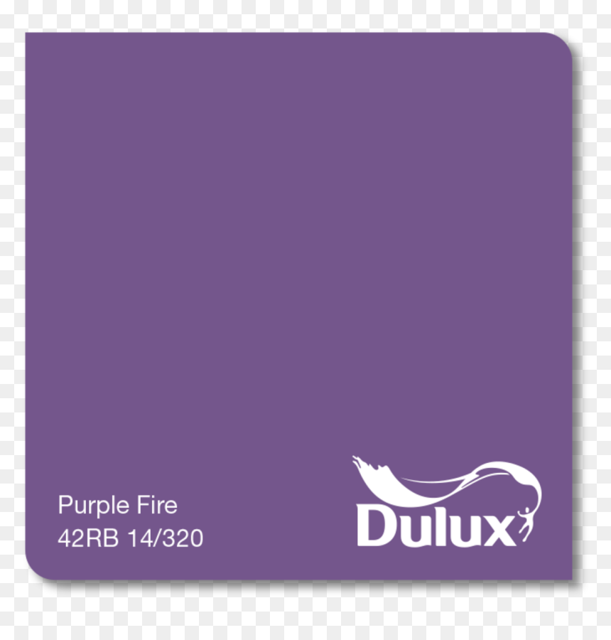 Kangaroo, HD Png Download - purple paint png