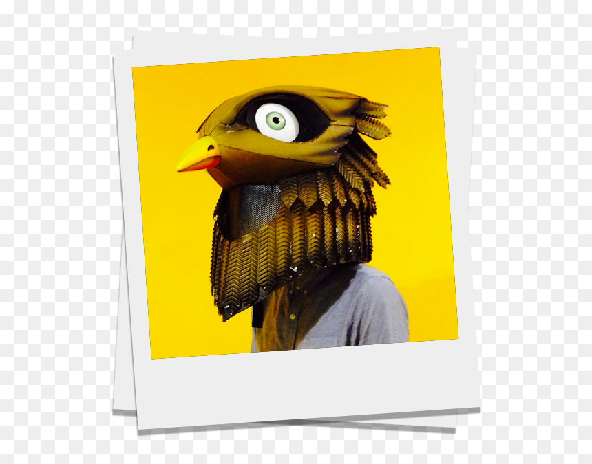 Hornbill, HD Png Download - birdo png