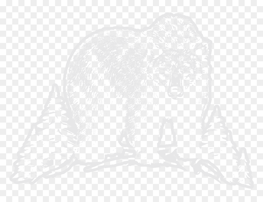 Grizzly Bear, HD Png Download - white mountain png