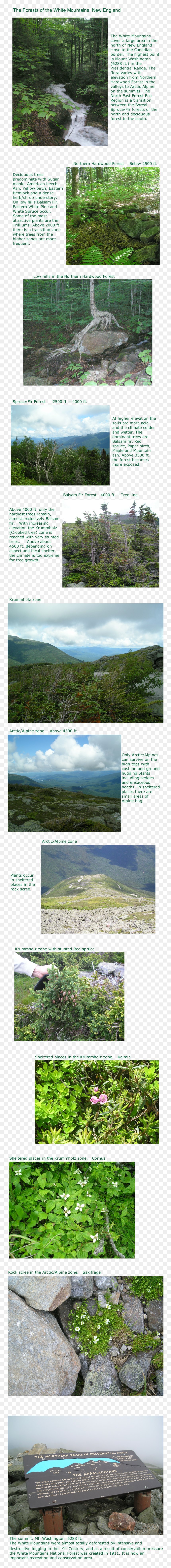 Grass, HD Png Download - white mountain png