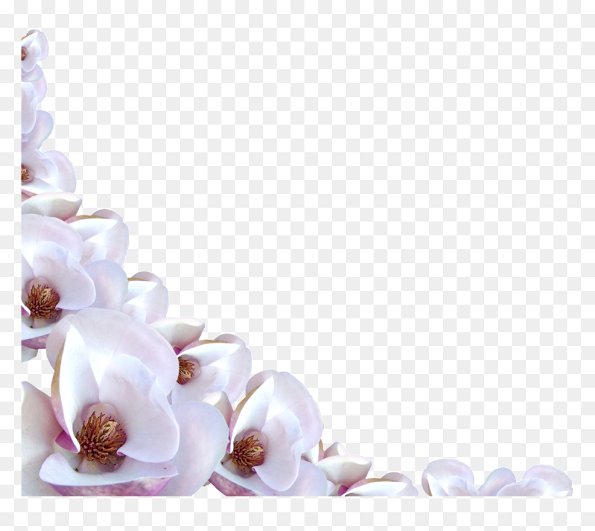 Flowers Border Png Transparent Background, Png Download - plant border png