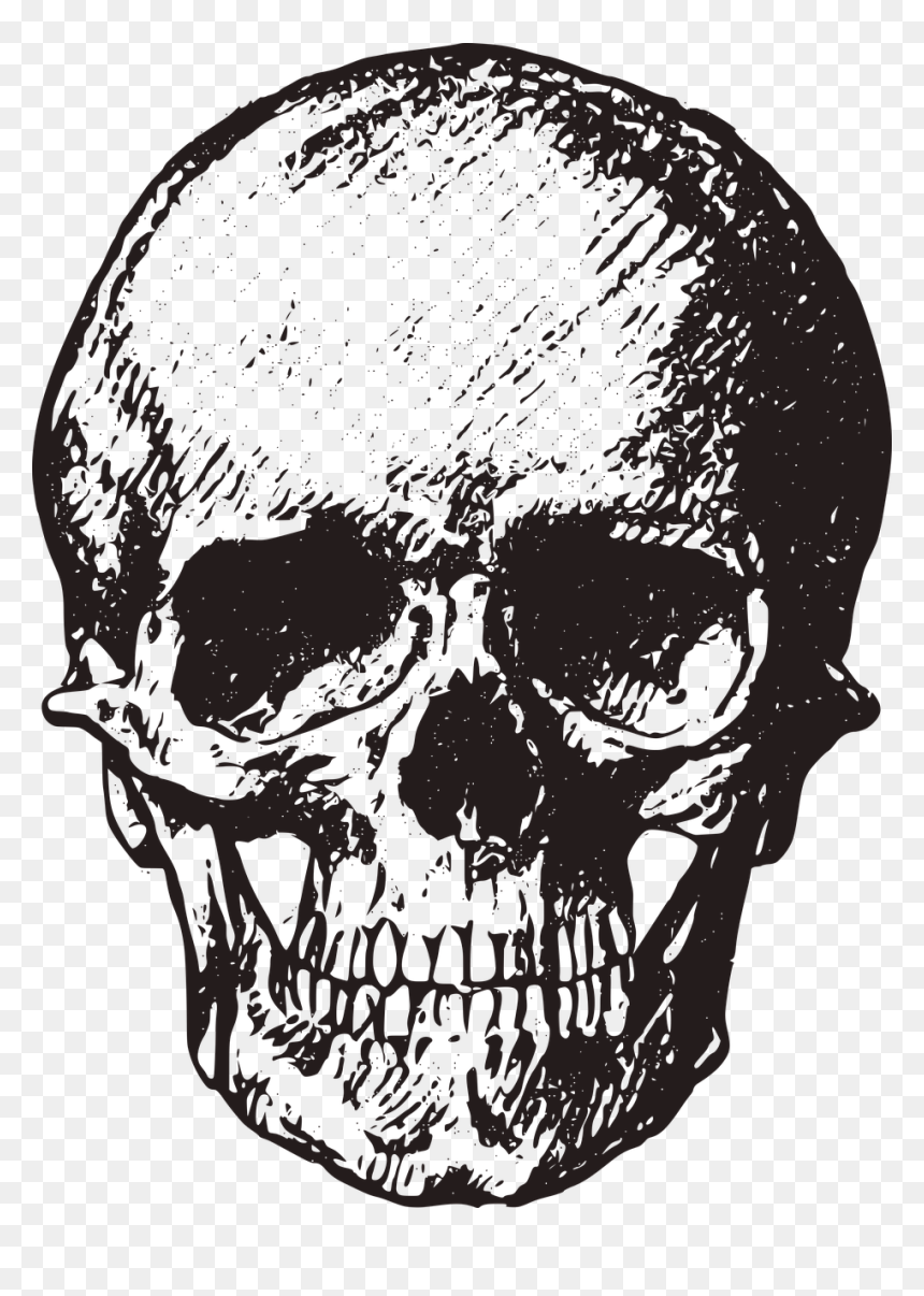 Skull Free, HD Png Download - gothic skull png