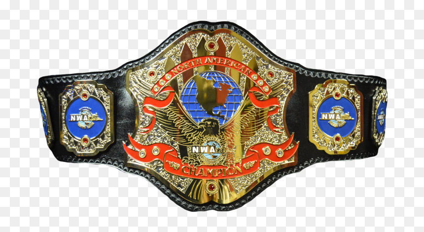 Professional Wrestling Championship, HD Png Download - wwe world heavyweight championship png
