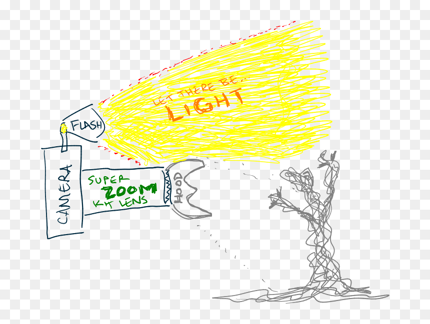 Illustration, HD Png Download - zoom the flash png