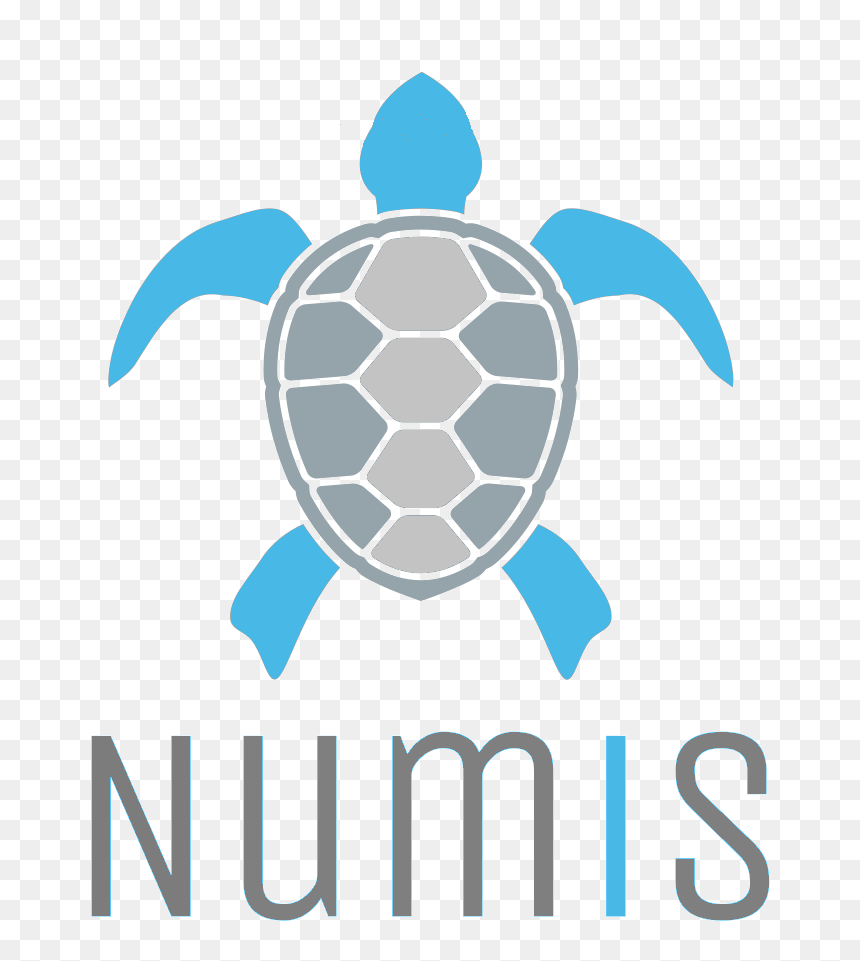 Turtle Black And White Clipart, HD Png Download - straws png