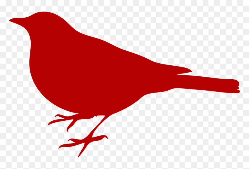 Red Bird Clipart, HD Png Download - pajaro png