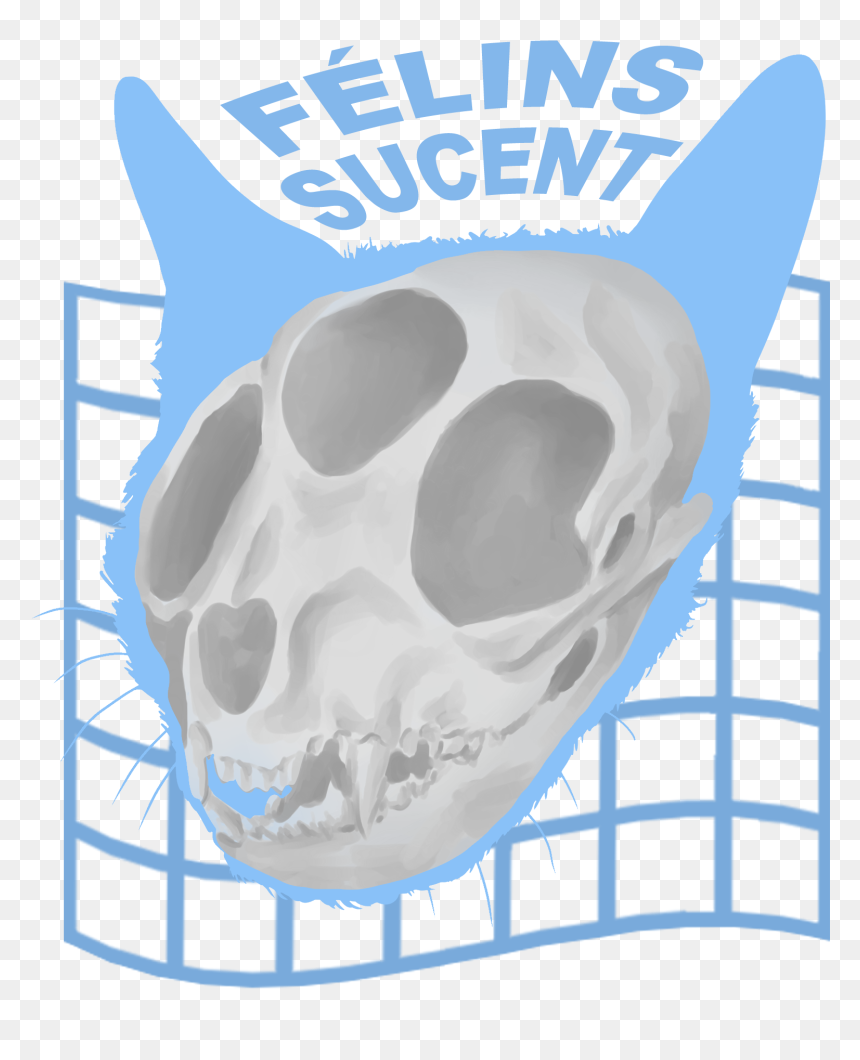 Skull, HD Png Download - cat skull png