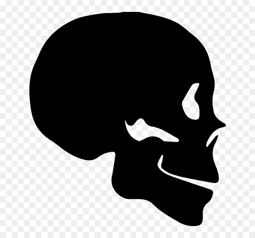 Skull Silhouette Side, HD Png Download - cat skull png