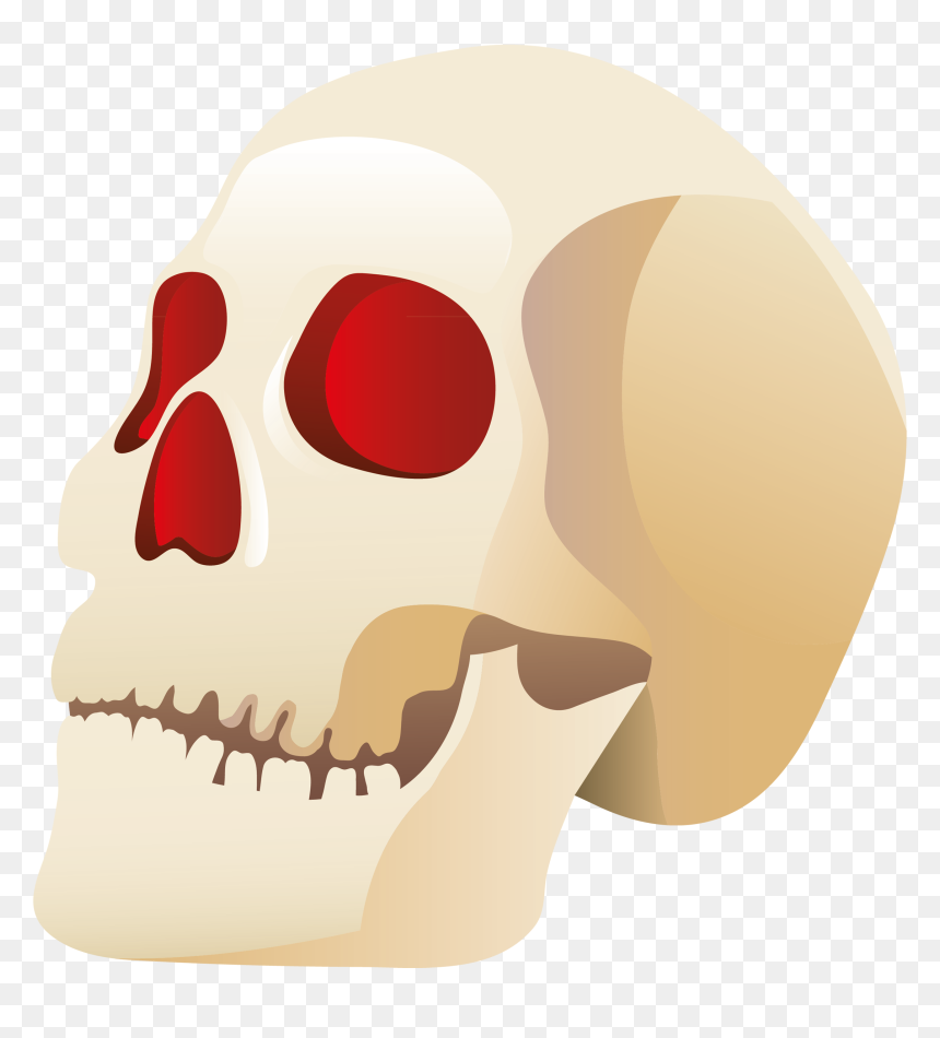 Halloween Clipart Skull, HD Png Download - cat skull png